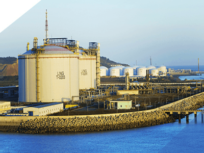 电动卷帘门走进上海液化天然气有限责任公司